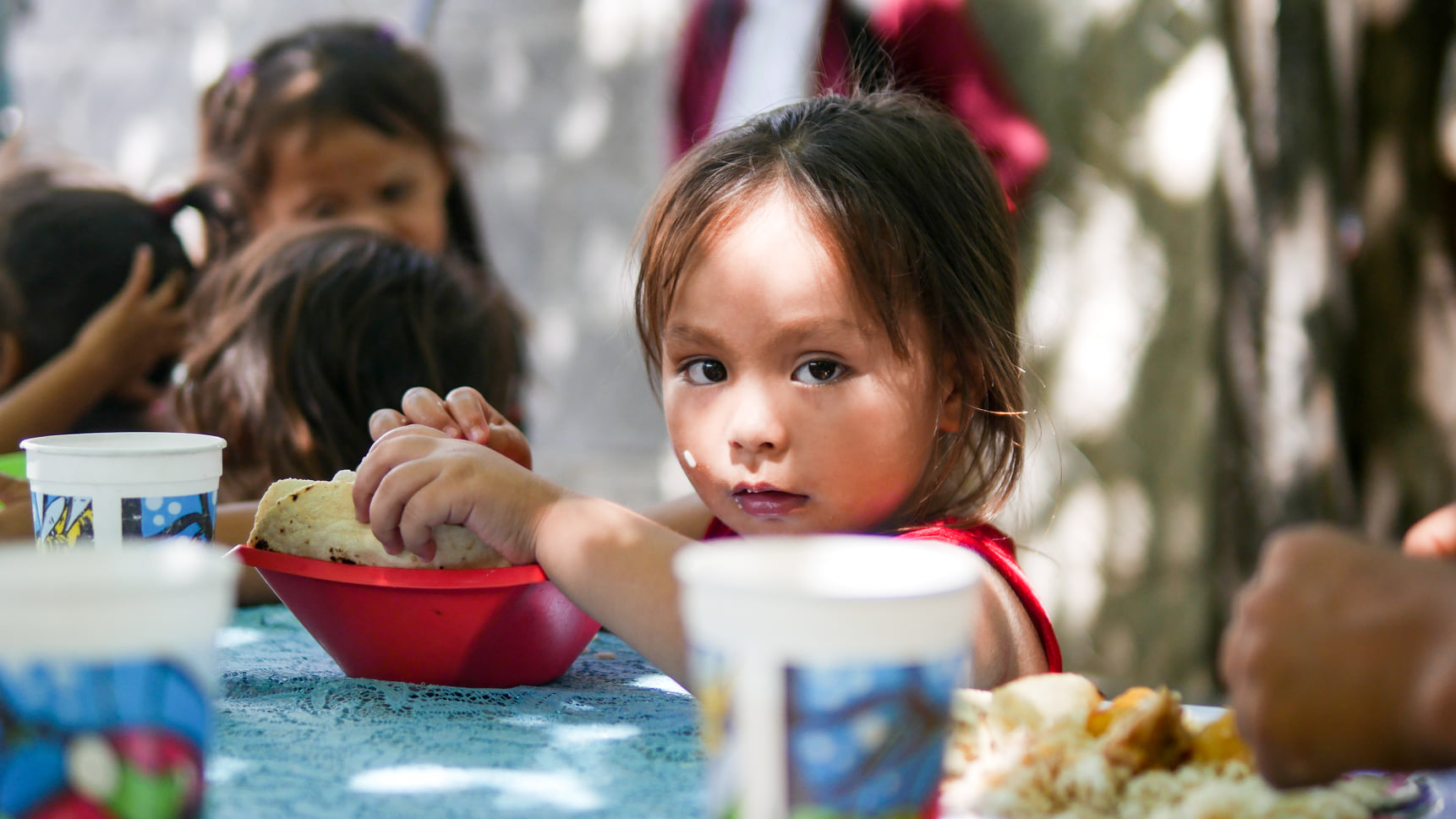 Alimentos