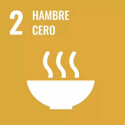 Icono 1