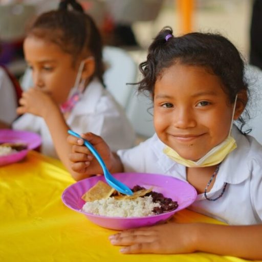 SeguridadAlimentaria